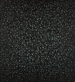 William Brui - Unified Fields