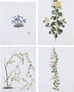 William Buelow Gould - William Buelow Gould (1803-1853)