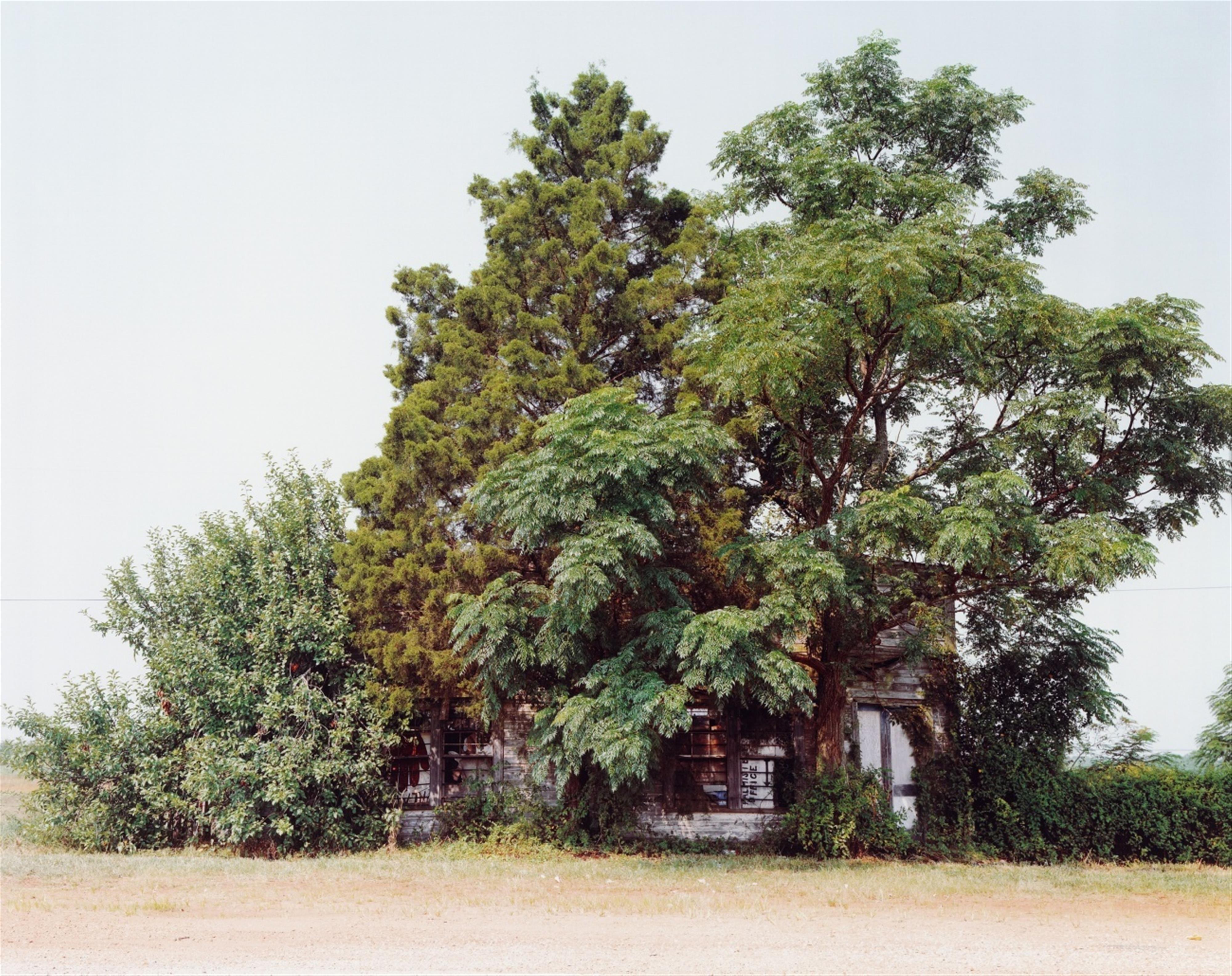 William Christenberry - Palmist Building, Havana Junction, Alabama