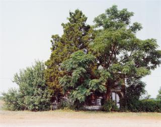 William Christenberry - Palmist Building, Havana Junction, Alabama