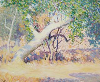 William Clapp - Great Diagonal Trunk 24 x 1/4 x 27 1/4in