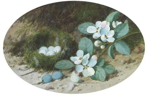 William Cruickshank - Apple Blossom And A Bird\'S Nest On A Mossy Bank