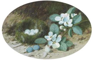 William Cruickshank - Apple Blossom And A Bird\'S Nest On A Mossy Bank