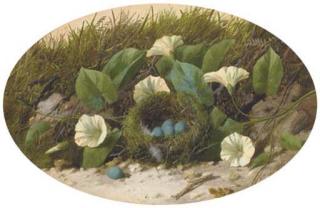 William Cruickshank - Convolvulus and a bird\'s nest on a mossy bank