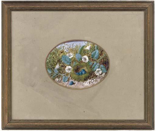 William Cruickshank - Convolvulus beside a birds nest, on a mossy bank; and A birds nest with eggs, on a mossy bank