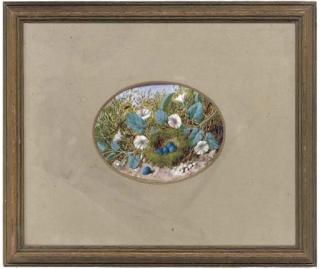 William Cruickshank - Convolvulus beside a birds nest, on a mossy bank; and A birds nest with eggs, on a mossy bank