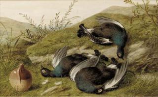 William Cruickshank - The day\'s bag, hare, peasant, partridge and pigeon; and The day\'s bag, blackcock