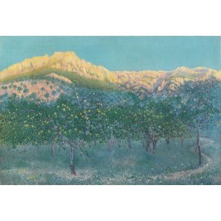 William Degouve de Nuncques - Belgian Citronniers À Marjorque