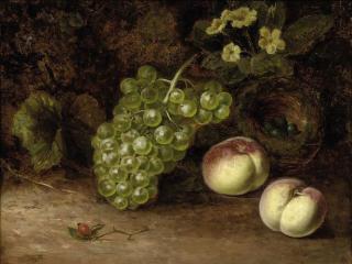 William Duffield - Grapes and peaches with a bird\'s nest on a mossy bank