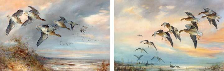 William E. Powell - Grey Lag Geese In Flight; And Grey Lag Geese Coming Into Land