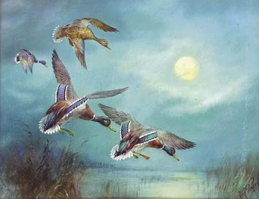 William E. Powell - Mallards landing by moonlight