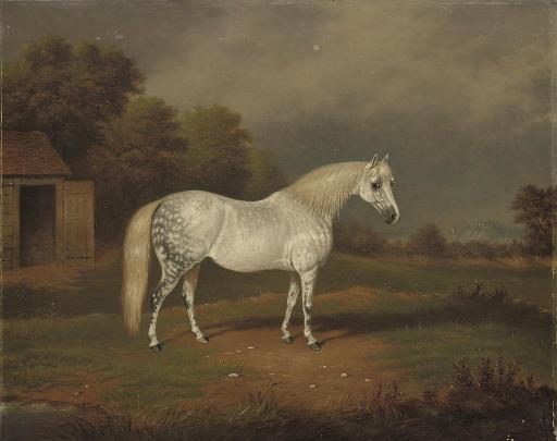 William Eddowes Turner - Skewbald horse