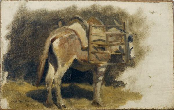 William Edward Norton - Study of a donkey