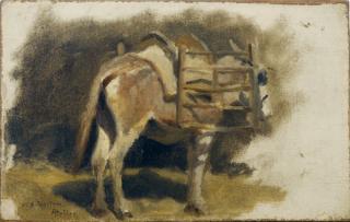 William Edward Norton - Study of a donkey