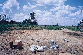 William Eggleston - Black Bayou Plantation, c. 1970