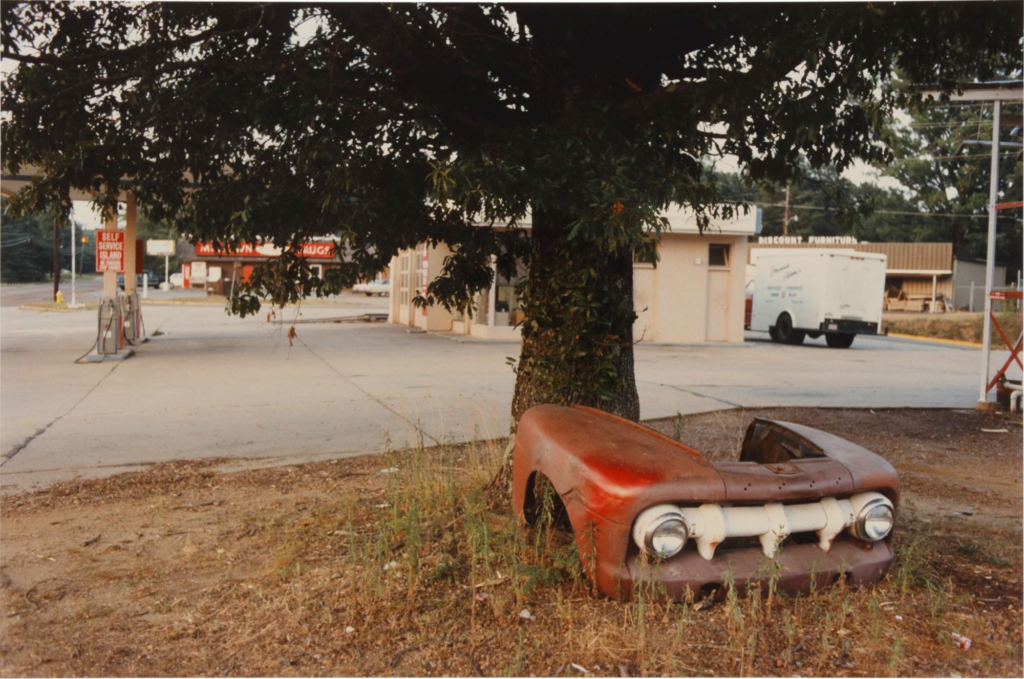 William Eggleston - Oxford, Mississippi (from The Democratic Forest)