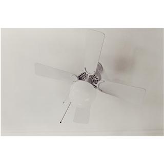 William Eggleston - Untitled, 1990