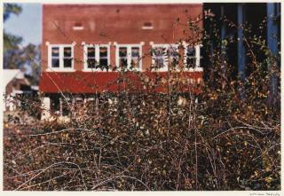 William Eggleston - Untitled, 1992