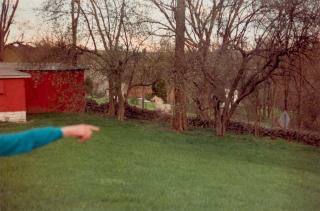 William Eggleston - Untitled (Kentucky)