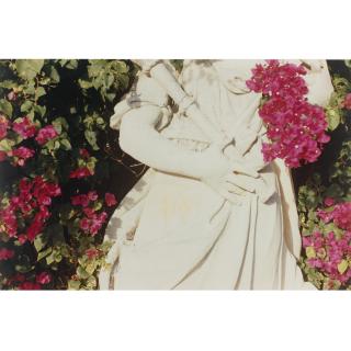 William Eggleston - Vizcaya, Miami