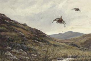 William Ellis Barrington Browne - Grouse shooting