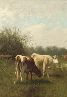 William F. Hulk - Cattle grazing in pasture; and Another similar