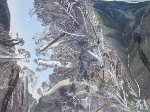 William Francis Robinson - Back Creek Gorge to the Coomera