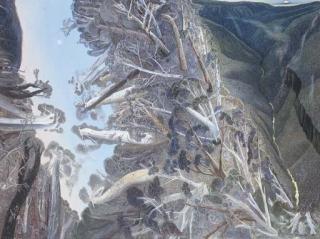 William Francis Robinson - Back Creek Gorge to the Coomera