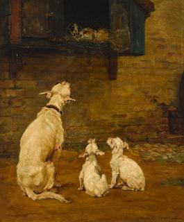 William Frank Calderon - Rabbit fanciers