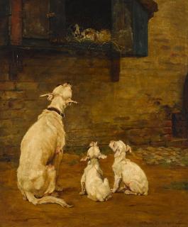 William Frank Calderon - Rabbit fanciers