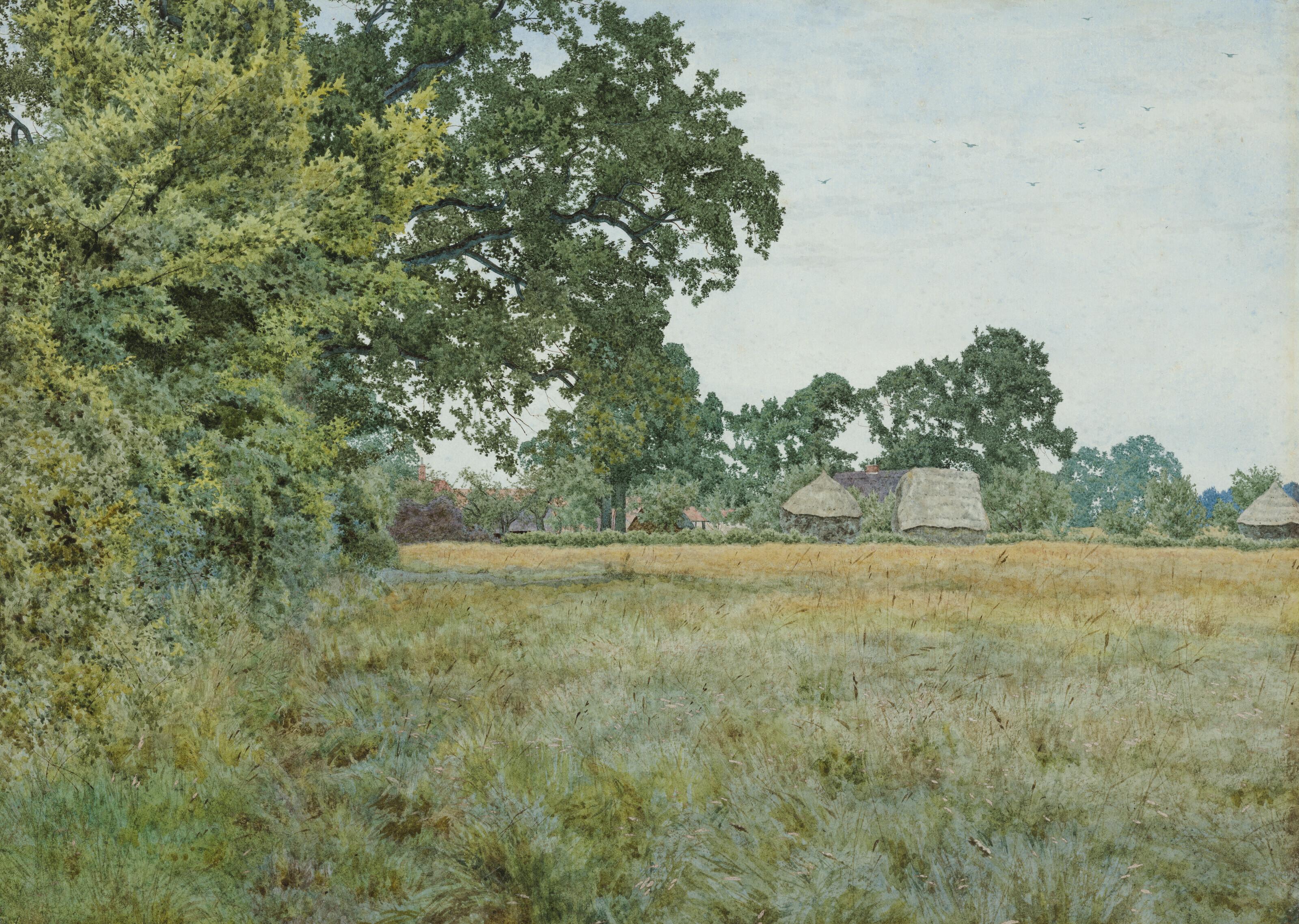 William Fraser Garden - A Hayfield, Bedfordshire