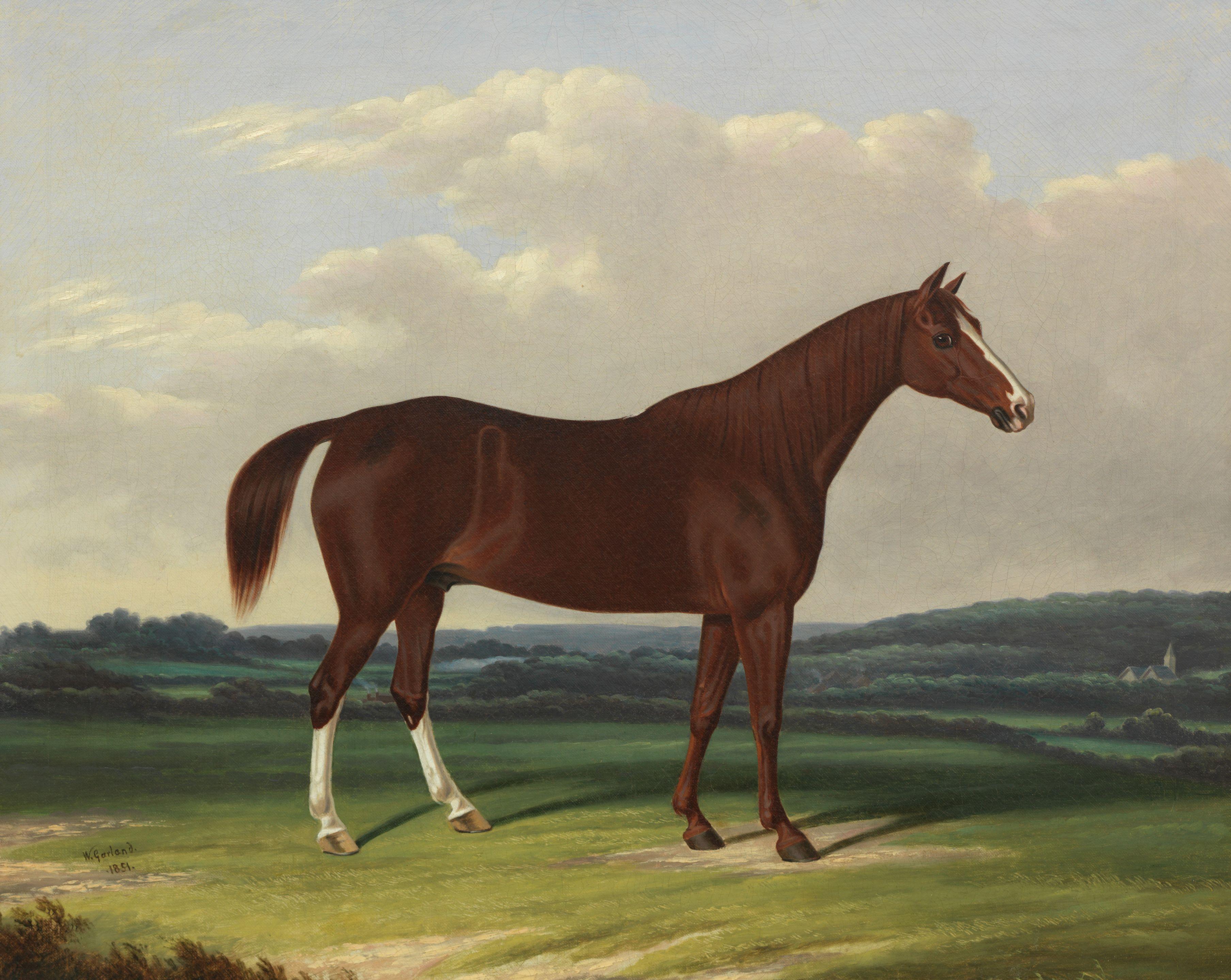 William Garland - A chestnut horse in a landscape