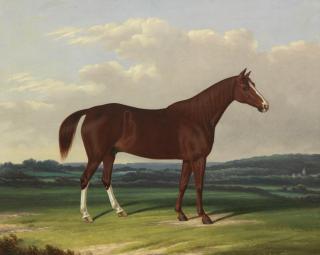 William Garland - A chestnut horse in a landscape