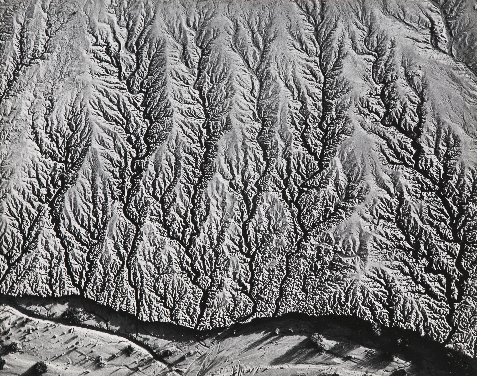William Garnett - \'Erosion Near Salton Sea, Calif.\'