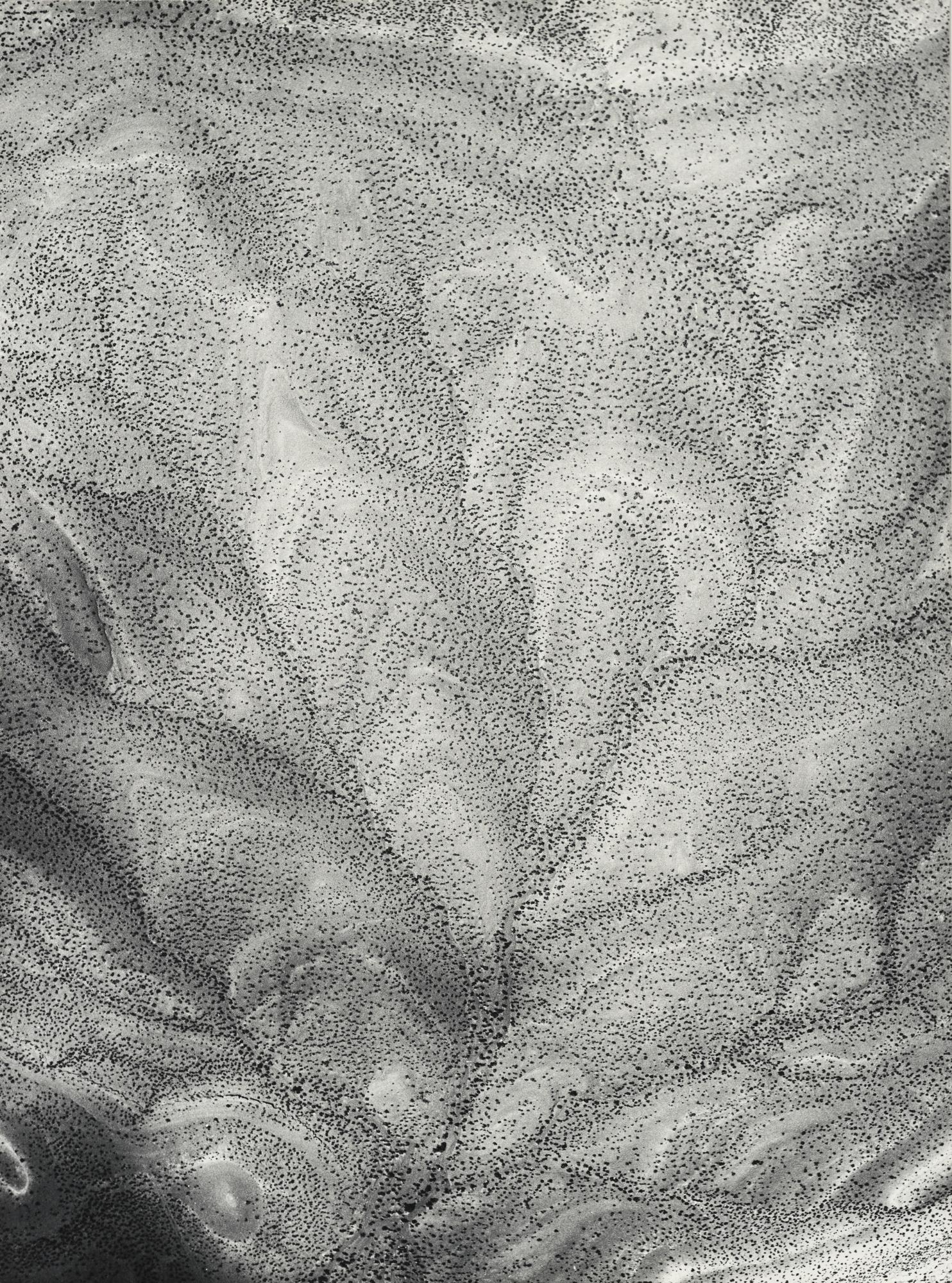 William Garnett - \'Indian Land, Painted Desert, South Of Marble Canyon, Ariz.\'