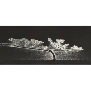 William Garnett - Reflection Of The Sun On Dendritic Flow, San Francisco Bay, California