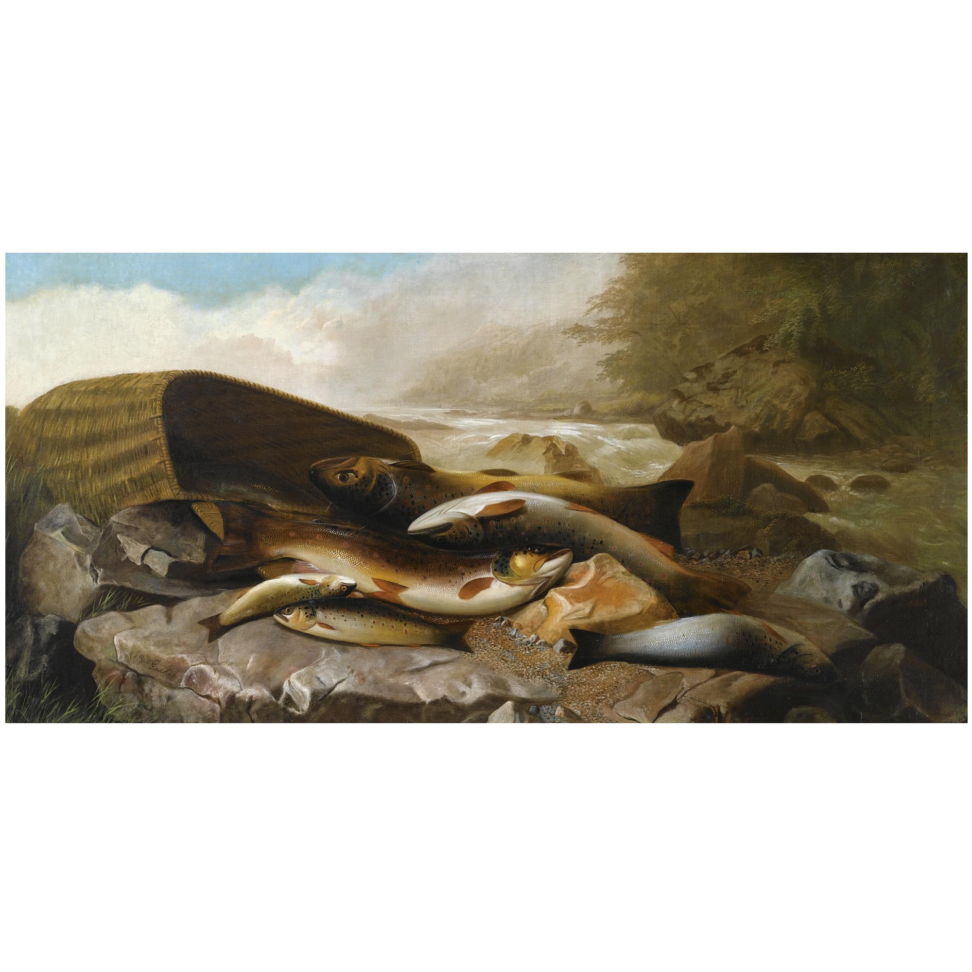 William Geddes - Wild Salmon