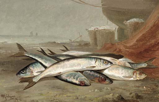 William Gibbons - Mackeral on a beach