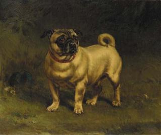 William H. Hopkins - The Artist\'S Pug With Ball