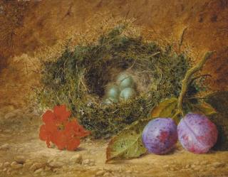 William H. Ward - Geraniums, plums, and a bird\'s nest with eggs, on a mossy bank