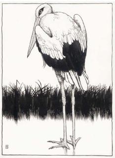 William Heath Robinson - \