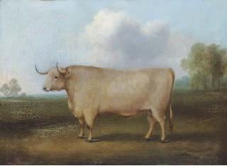 William Henry Davis - A Longhorned Bull In A Landscape