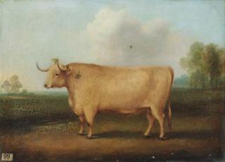 William Henry Davis - A longhorned bull in a landscape