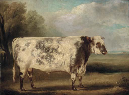 William Henry Davis - A prize bull in a field