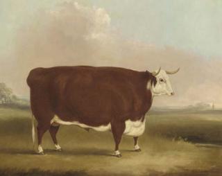William Henry Davis - A Prize Bull In A Landscape