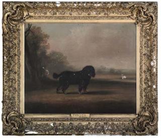 William Henry Davis - \'Pincher\'