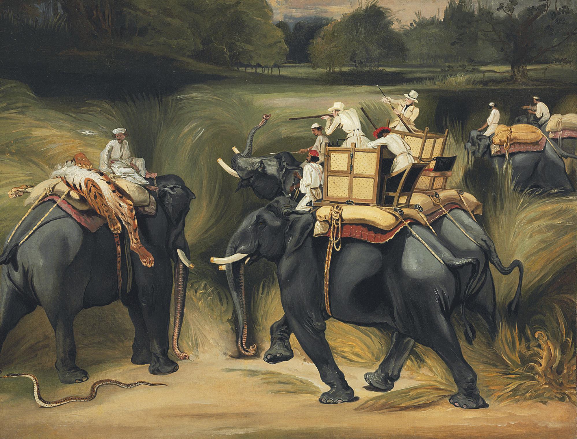 William Henry Florio Hutchisson - Tiger Hunting