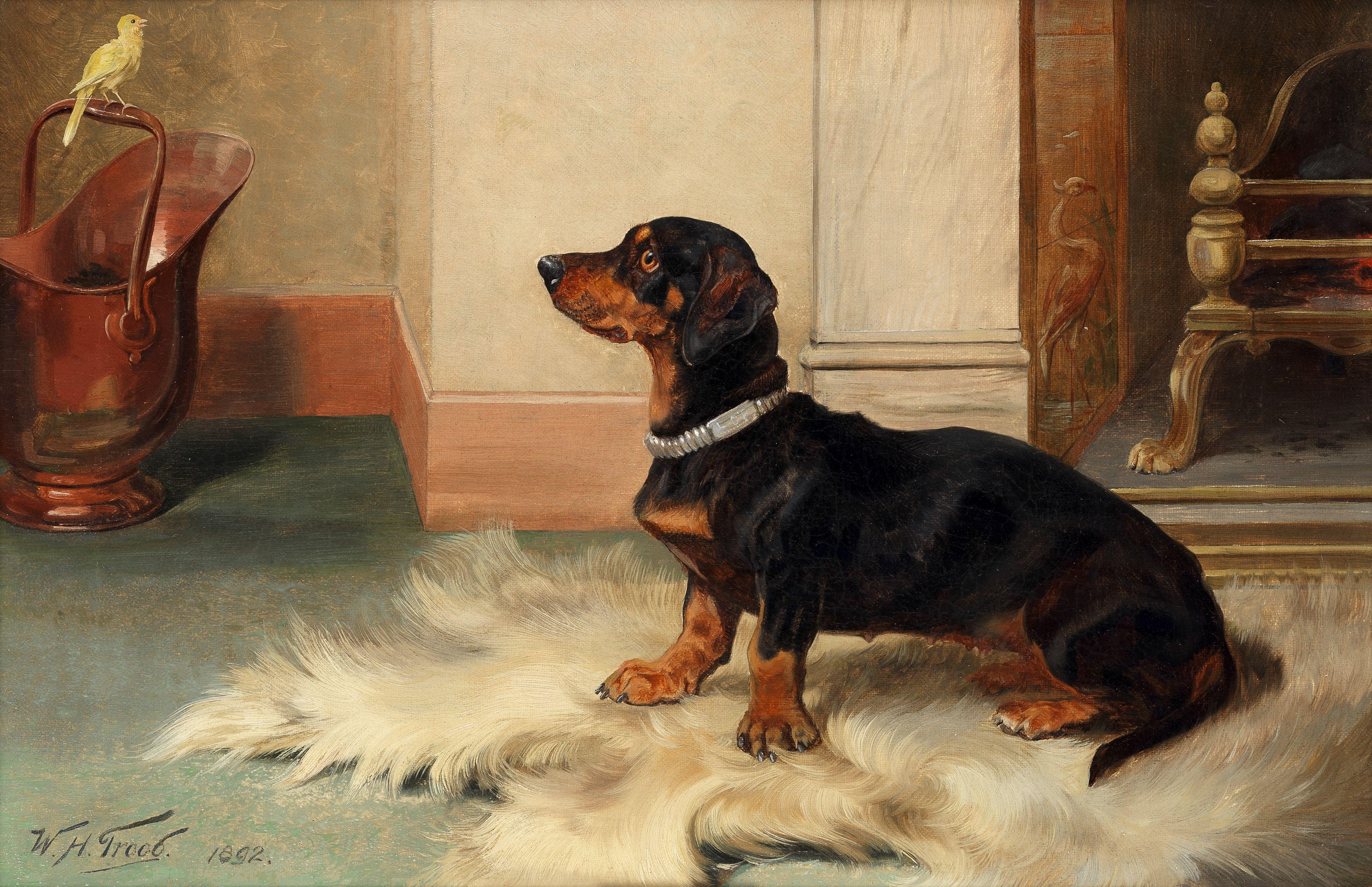 William Henry Hamilton Trood - Captivated