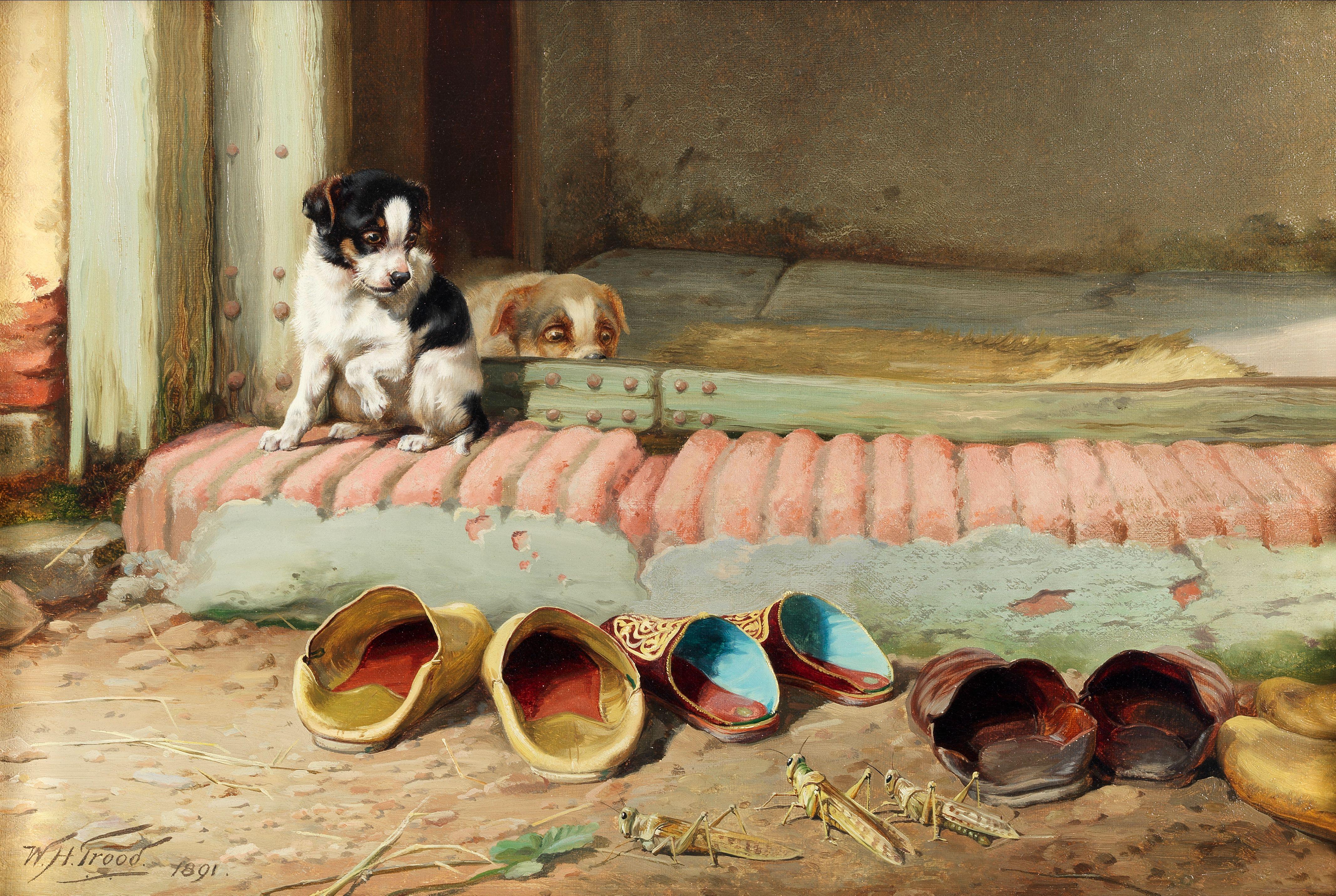 William Henry Hamilton Trood - Friend or foe?