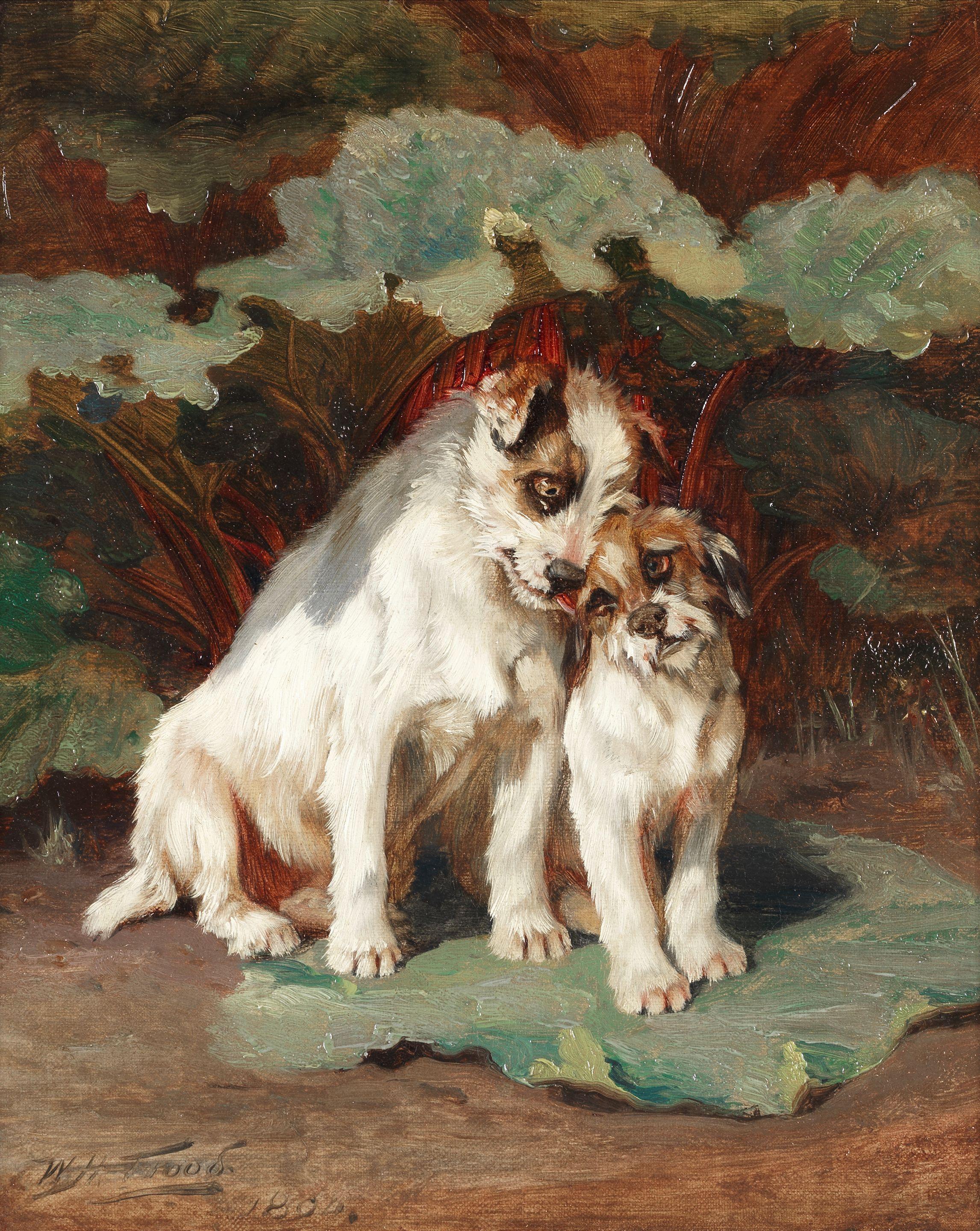 William Henry Hamilton Trood - In the rhubarb patch